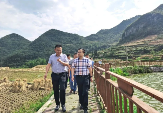 畢節(jié)工業(yè)職業(yè)技術學院黨委書記李涌、院長邱國援率隊到鄉(xiāng)村振興駐村聯(lián)系工作點調研